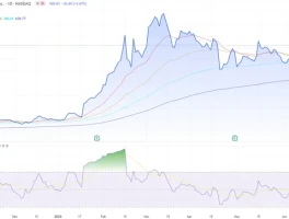 smci stock: slowing sales vs. weak earnings