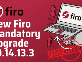 Firo: Performance Metrics and Investment Outlook